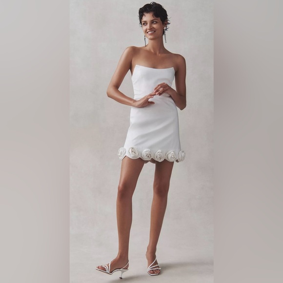 BHLDN Annie Rosette Mini Dress - Picture 2 of 5